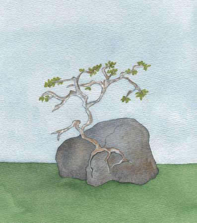 lonely tree growing on a rock, watercolor artの写真素材