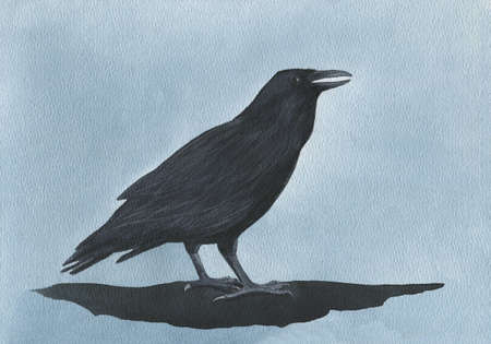 black raven watercolor illustration, crowの写真素材