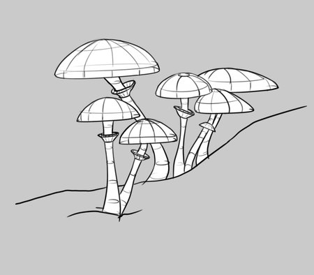 structure of body of mushroom isolated on white backgroundの写真素材