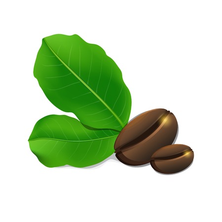 Coffee beans and leaves isolated on white backgroundのイラスト素材