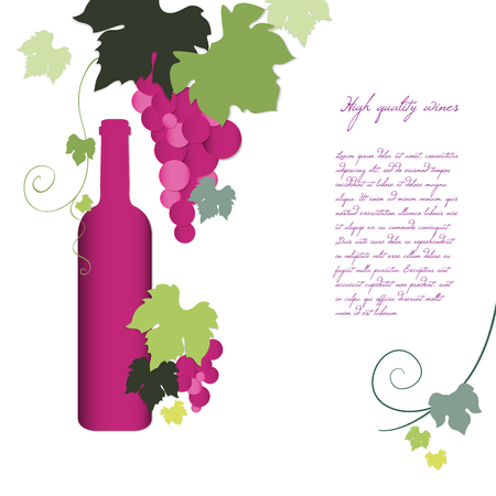 Bottle of wine and the vine. Vector illustration EPS10のイラスト素材