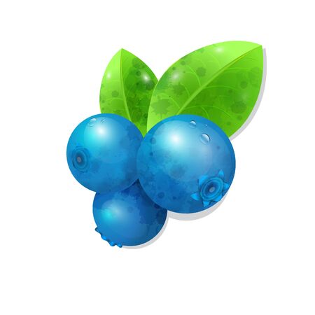 Blueberries illustration isolated on white background. Berries and leaves with watercolor texture.のイラスト素材