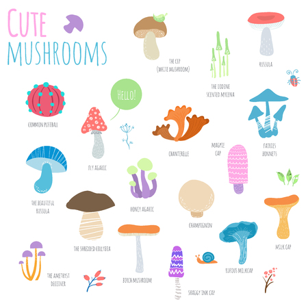 Mushrooms set isolated on white background. Cute cartoon mushrooms with signature.のイラスト素材