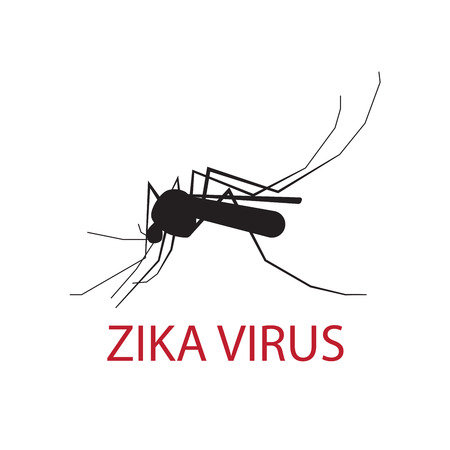 silhouette of a mosquito on a white background. zika virus peddler.のイラスト素材
