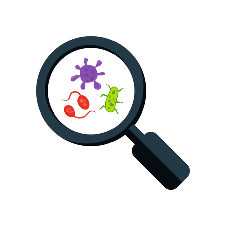Colorful germs and magnifying glass. Microscopic organisms or viruses. Flat vector illustration isolated on white background.のイラスト素材