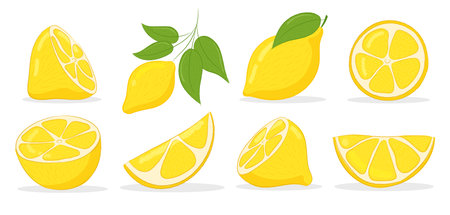 Set of yellow whole lemon and fruit sliced. Lemon slices. Cut lemon fruit slice and zest for lemonade juice or vitamin C logo. Hand drawn Icon set Isolated vector illustration.のイラスト素材