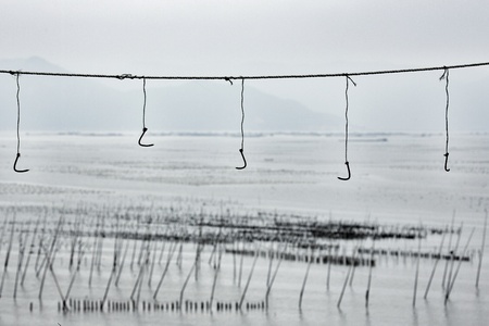 Xiapu County, Fujian provinceの写真素材