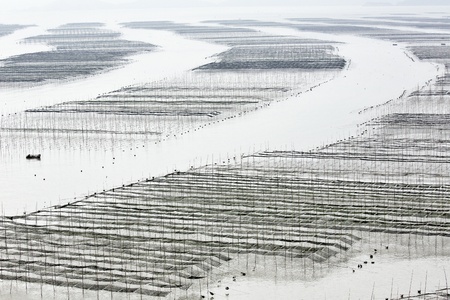 Xiapu County, Fujian provinceの写真素材
