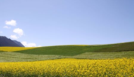 Sky and grassland sceneryの写真素材