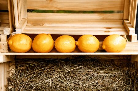 lemons in boxes lie for sale, beautifully served on hay and wooden boxesの写真素材