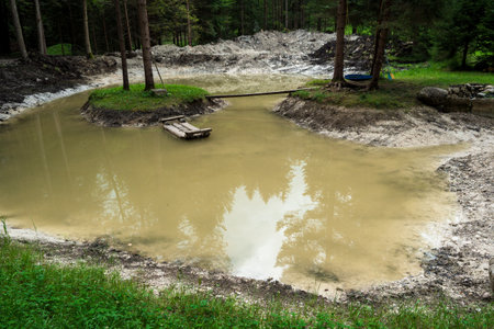 lake and pines in the forest.puddle after rain