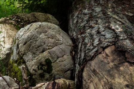 texture of stones. big rocks in the mountains.wood textureの写真素材