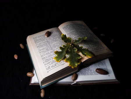 Old books with an old oak branch