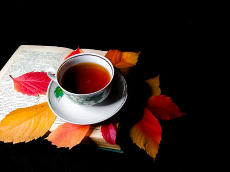 Cup with tea on the spread of the book among the autumn leavesの写真素材