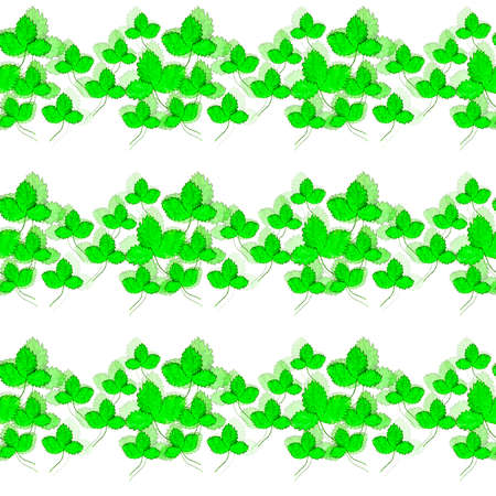 pattern with green strawberry leavesの写真素材