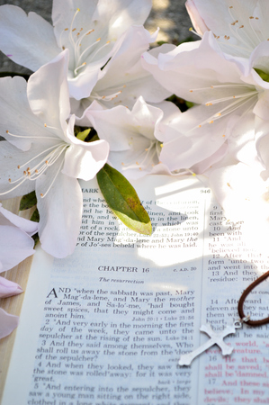 Mark 16 Easter Sunday scripture background with flowers.