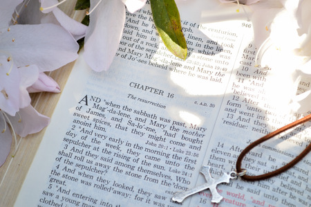 Mark 16 Easter Sunday scripture background with flowers.の写真素材