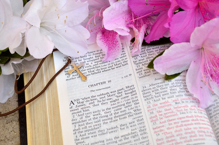 Mark 16 Easter Sunday scripture background with flowers.の写真素材