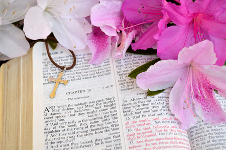 Mark 16 Easter Sunday scripture background with flowers.の写真素材