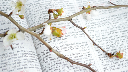 Good Friday, crucifixion scripture background.の写真素材