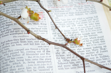 Good Friday, crucifixion scripture background.の写真素材