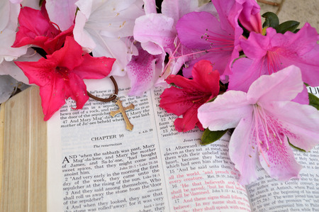 Mark 16 Easter Sunday scripture background with flowers. Closeup of the account in the gospel of St. Mark where Jesus arose from the dead. Religious, christian image good for use on church bulletins, websites, etc.の写真素材