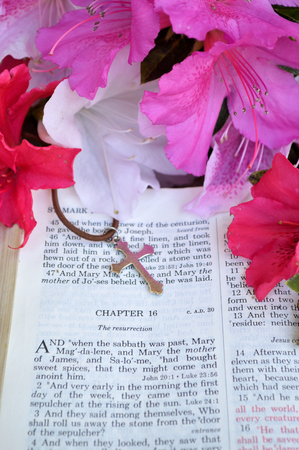 Mark 16 Easter Sunday scripture background with flowers. Closeup of the account in the gospel of St. Mark where Jesus arose from the dead. Religious, christian image good for use on church bulletins, websites, etc.の写真素材