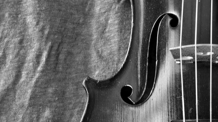 Black and white panorama of a dark stained antique violin against a textured linen backround. Extreme closeup of the f hole and bridge of the violinの写真素材
