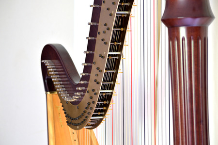 Closeup of the strings and mechanisms of a concert grand, pedal harp.の写真素材