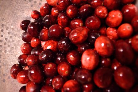 Bright red cranberries in a metal colander being washed and prepared to cook with.