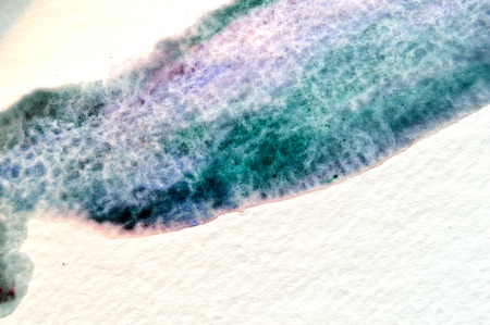 Wet on wet, watercolor brushstroke on watercolor paperの写真素材