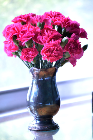 Bright pink carnations, cut flower arrangement, in heirloom silver vase.の写真素材