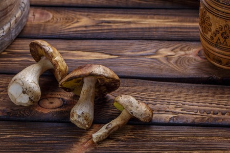 Forest Mushroom over Wooden Background. Autumn Cep Mushrooms. Mushrooms Picking