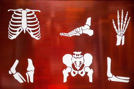 X-ray multiple parts of adult. Collection X-ray part of human on red background
