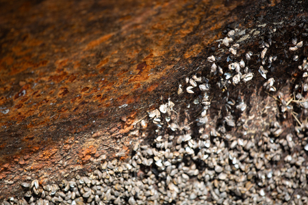 Texture of rusty metal. Corrosion of metal. Backgroundの写真素材