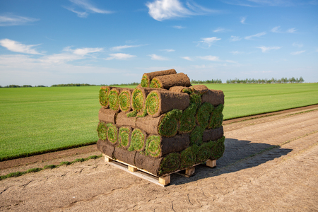 Rolls of turf stacked in preparation ready to be laid in ground Lawnの写真素材