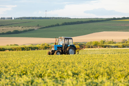 Tractor spraying pesticides on soy field with sprayer at summerのeditorial素材