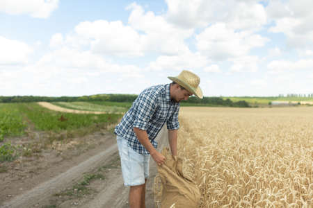 farmer man in a hat standing proud in front of garden landscape holding wooden box and a shovel - agriculture. farmer preparing to harvestの写真素材