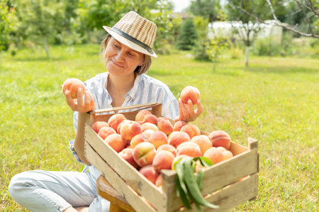 Portrait of smiling woman farmer with wooden box of freshly harvested ripe peachesの写真素材