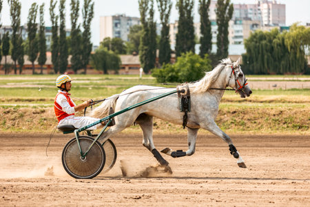 Testing of horses of trotting breeds - July 02.2023: Kyiv, Ukraine. Horse racing at the hippodromeのeditorial素材