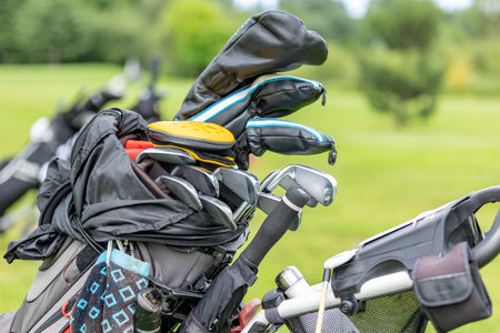 Golf clubs in a golf bag. Set of golf clubs for a golfer. green Background. Close-up.の写真素材
