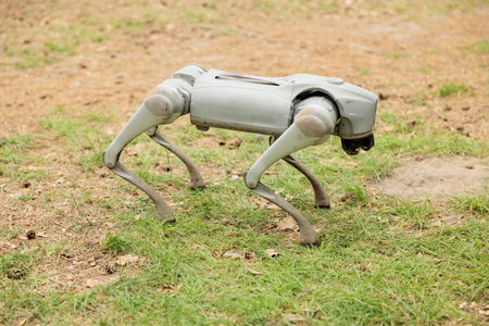 Robotic Technological Dog Robot, Walking on the Green Grasses in a Exhibition Fest, High-tech Robotic Dogs, Automatically Controlled, With Long Legs and sensorsの写真素材