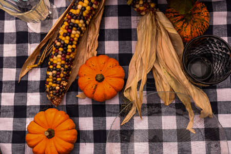 Decorated corn and pumpkin on the table.の写真素材