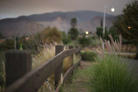 Depth of Field