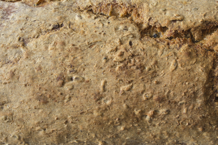 Homemade bread with cranberries and other additives. Polish cuisine. The upper crust of rye bread on a light background.の写真素材