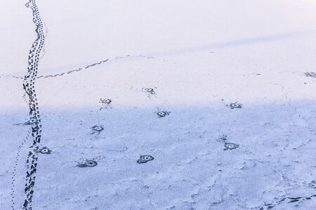 The wells in the ice to catch fish. Ice Fishing in Warsaw, Poland.の写真素材