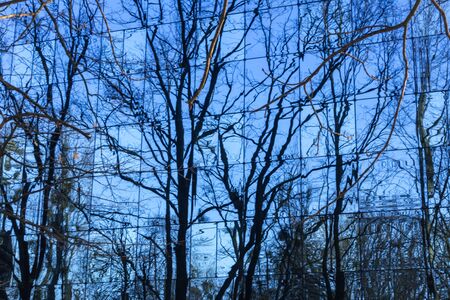 Reflection of trees in a glass wall. Metal construction, blue glass and trees without leaves in winter.	の写真素材