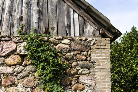 Stone wall of old barn, overgrown with hops. The end of the summer . Podlasie, Poland.の写真素材