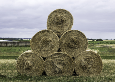Stacked like a pyramid, round yellow bales of straw in the cloudy weather. Good bedding for cows in winter. Dairy farm in Podlasie, Poland.の写真素材