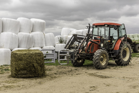 Unpacked from the membrane a silage bale and a tractor with a forklift near the barn. Good food for cows. Dairy farm. Podlasie, Poland.の写真素材